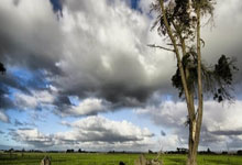 山东鲁能今晚亚冠直播哪里看？比赛看点、阵容分析全解读