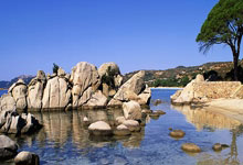 2010年世界杯西班牙的阵型图有什么特点？